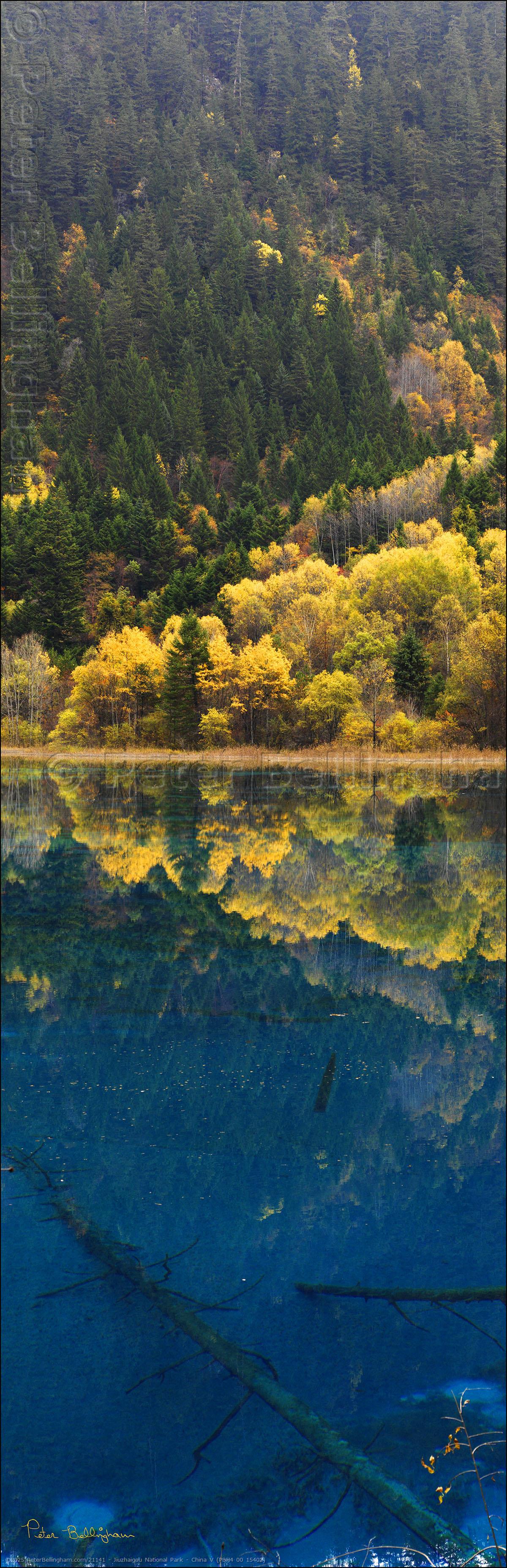 Peter Bellingham Photography Jiuzhaigou National Park - China V (PBH4 00 15402)